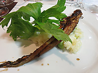 20160710ivs_japanltt_7_2