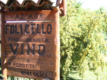 Folicell1 Folicell1