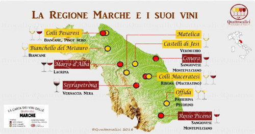 Viniregionemarche