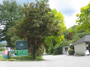 Ss0120230902_53