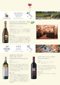 202411ivs_japana4_page0001