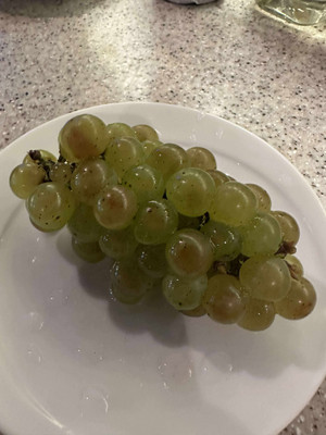 564657364_1147731874128888_51915835