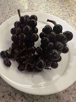 565348921_2009093983217767_33728088