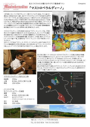 Ivs_japan_328_ltt_page0001