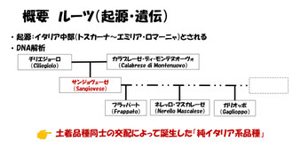 20260411ltt_page0004