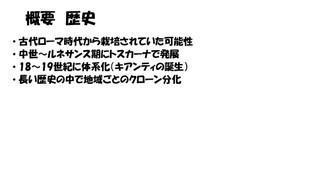 20260411ltt_page0005