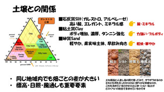 20260411ltt_page0011